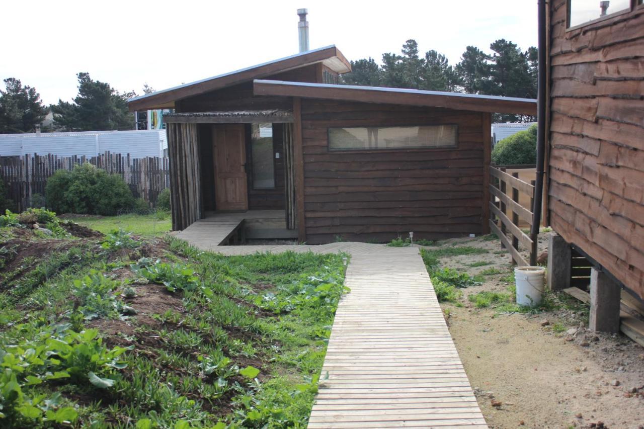 Cabanas Grulla Pichilemu Extérieur photo