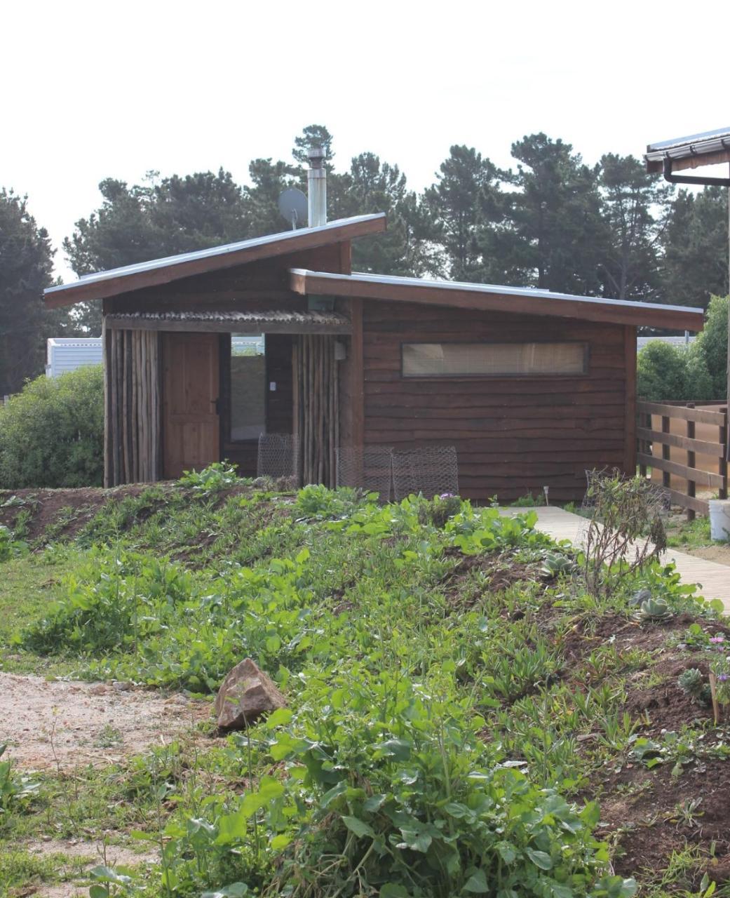 Cabanas Grulla Pichilemu Extérieur photo